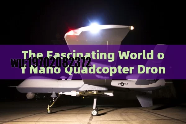 The Fascinating World of Nano Quadcopter Drones in the USA