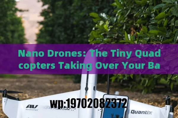 Nano Drones: The Tiny Quadcopters Taking Over Your Backyard!