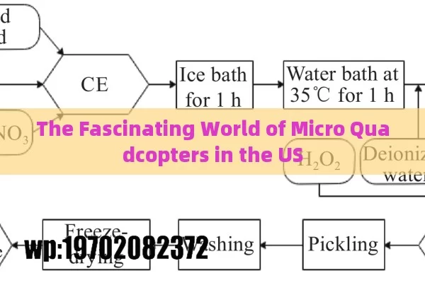 The Fascinating World of Micro Quadcopters in the US